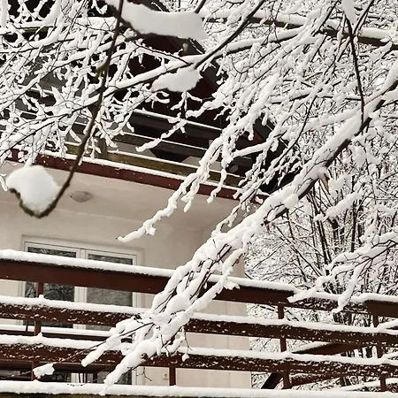 Albak Zone * Gradacac