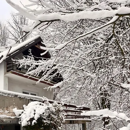 Alpesi faház Albak Zone