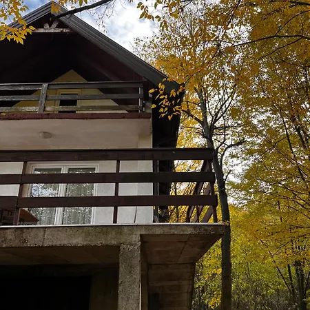 Albak Zone Brvnara *